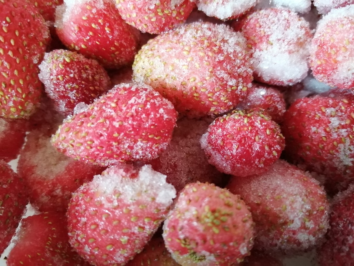 Фото из архива автора.