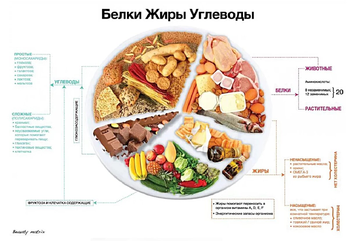 Белки жиры и углеводы для мужчин