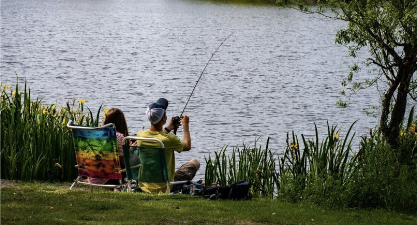 Фото авто из открытых источников 