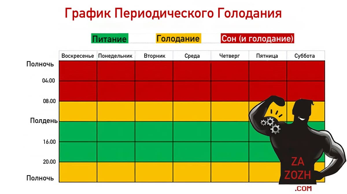 Периодическое голодание- для начинающих | что такое