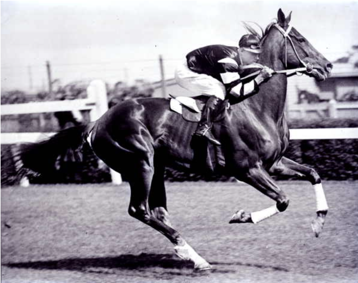 Phar Lap Википедия  