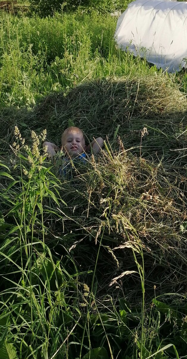 На даче- это вот так. Подожди, сыночек, скоро все лето там проведем.