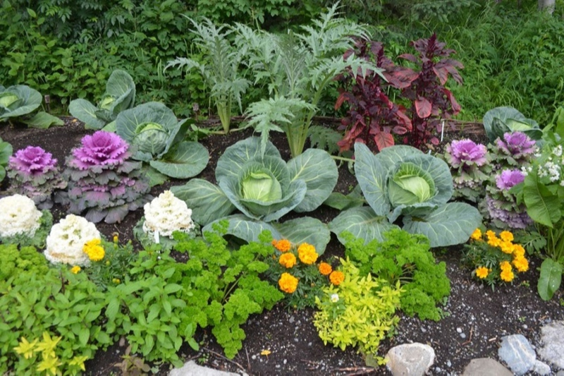 Ставьте лайк и подписывайтесь на канал, это поможет его продвижению!