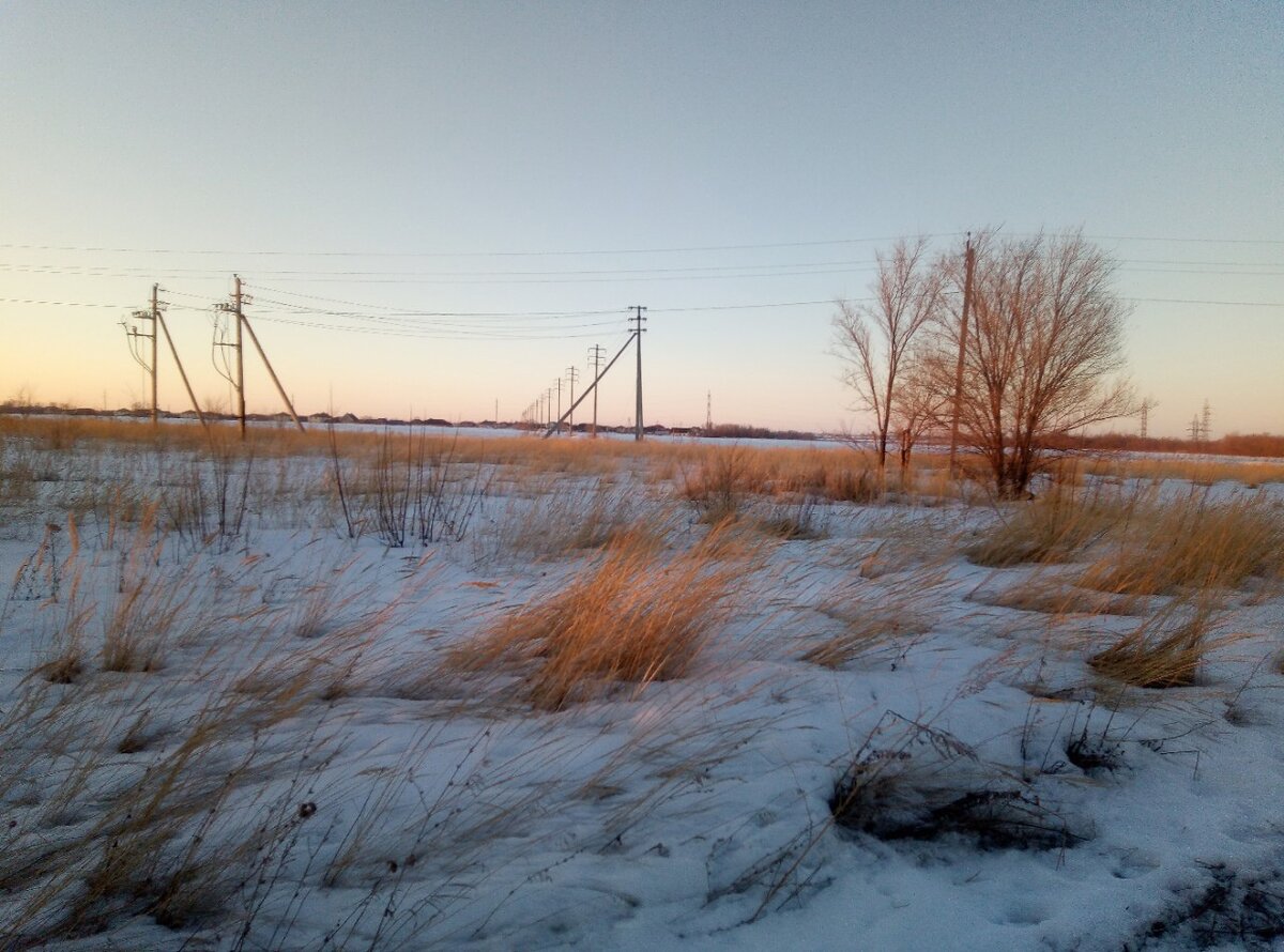 Поля за домом