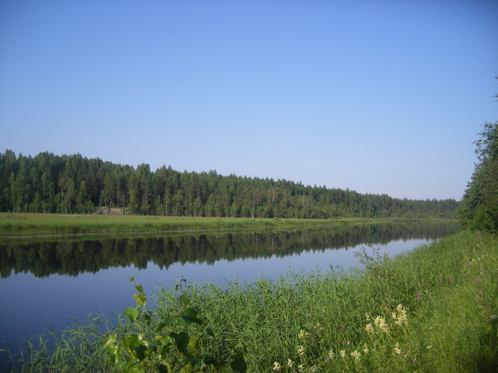  А параллельно ей- вот такая водная дорога. (Знать бы- отправился бы на лодке. Была с собою. На воде и комаров нету).