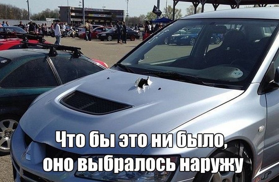 Автоюмор в картинках
