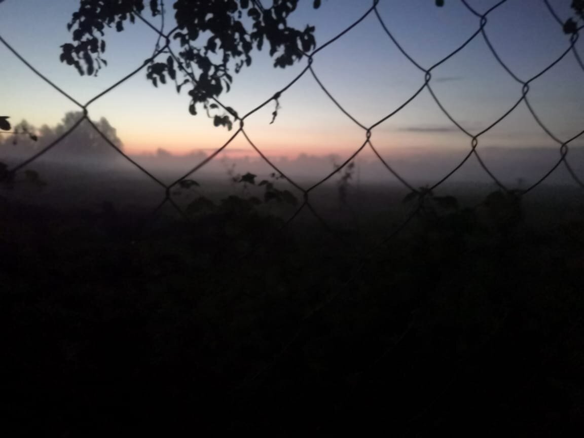 Рассвет сквозь туман