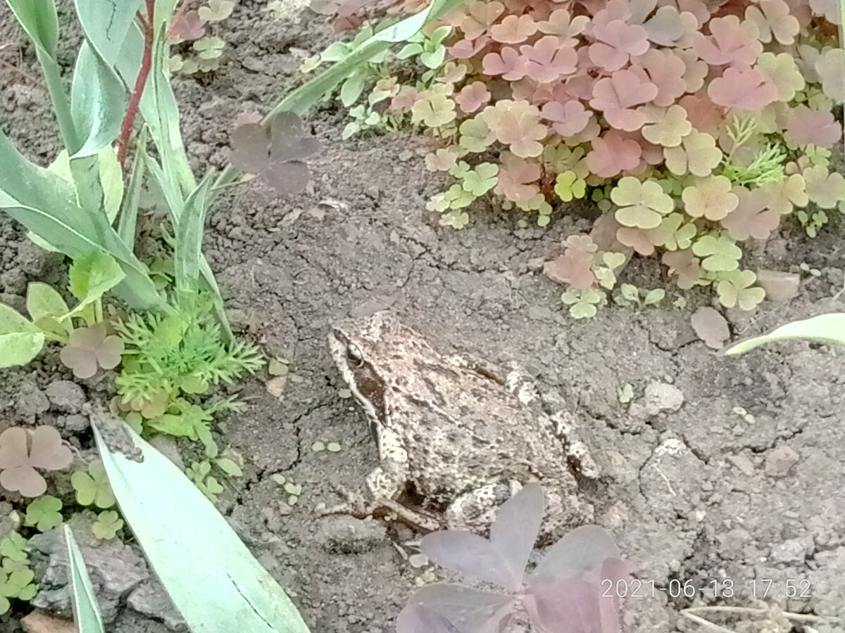 Кто-то будет любоваться на море, ну а я буду искать красоту в наших широтах...