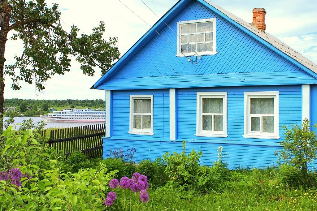 Циан береговой. Дешевый домик в деревне. Голубой деревенский домик. Частный дом в деревне. Синий деревенский дом.