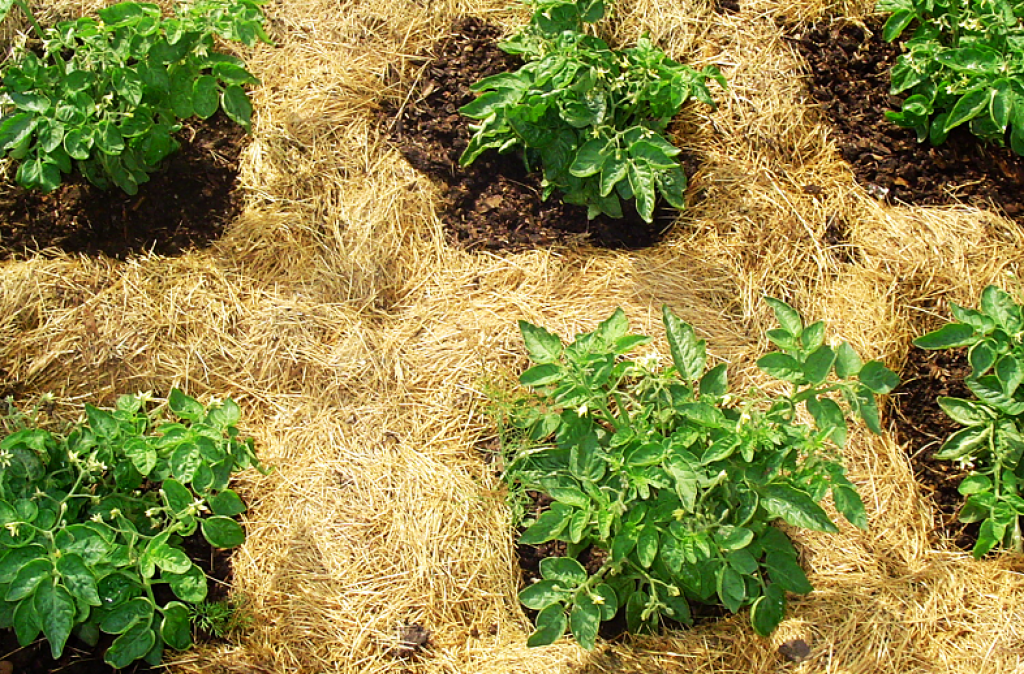 Добавьте описание