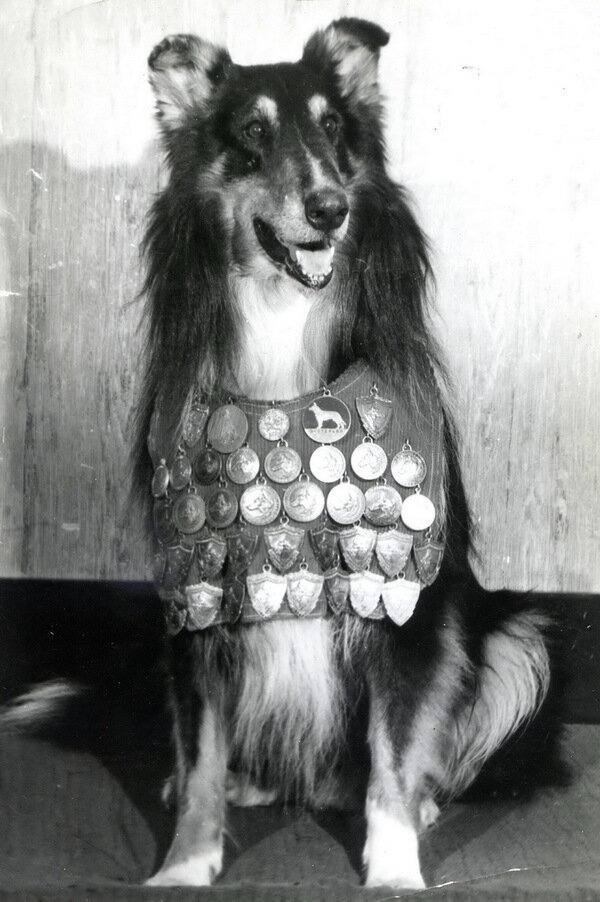 Чар. Источник фото http://sibforum.mybb3.ru/