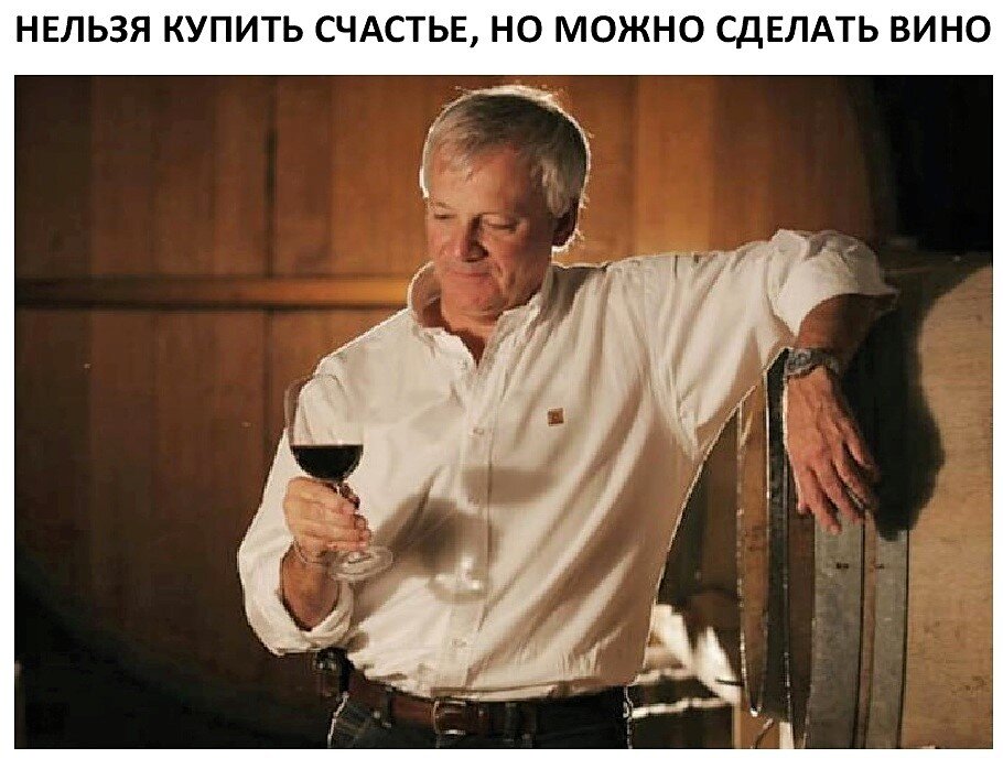 Сегодня, перед тем как написать эту статью, я  пробовал  молодые вина из новых сортов собственной селекции. До чего приятно, когда вино получилось, к тому же в Подмосковье.