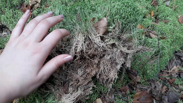 Фото из источника livemaster.ru