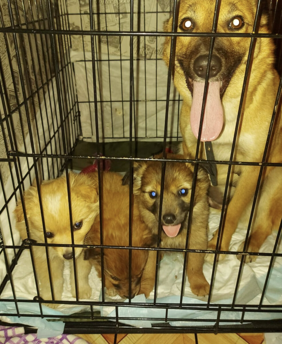 Леся с детками