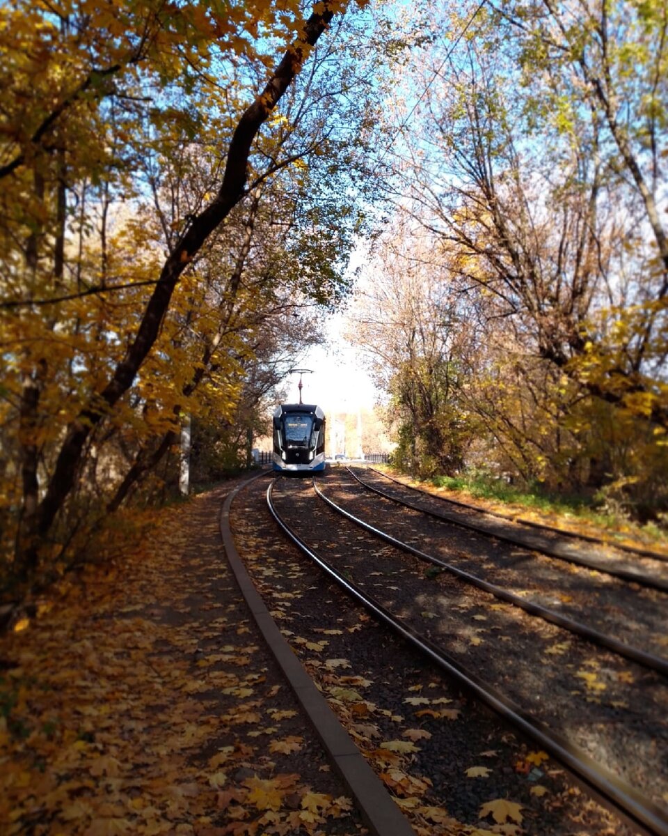 1. Трамвай "Витязь"
