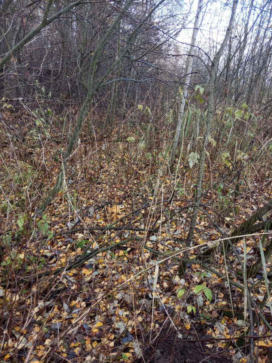 Куда только не влезешь в поисках металла)).