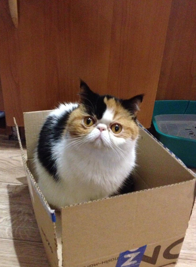 Вам посылка!