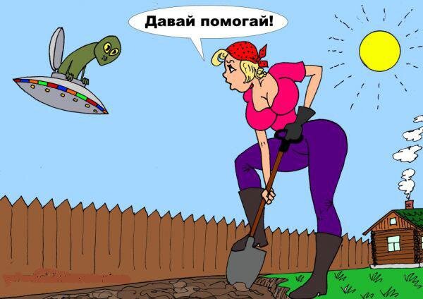 картинка взята с сайта https://sadovodka.ru/