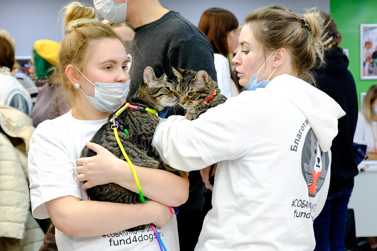 Шикарные Левушка и Пумба все еще в поиске хозяев!