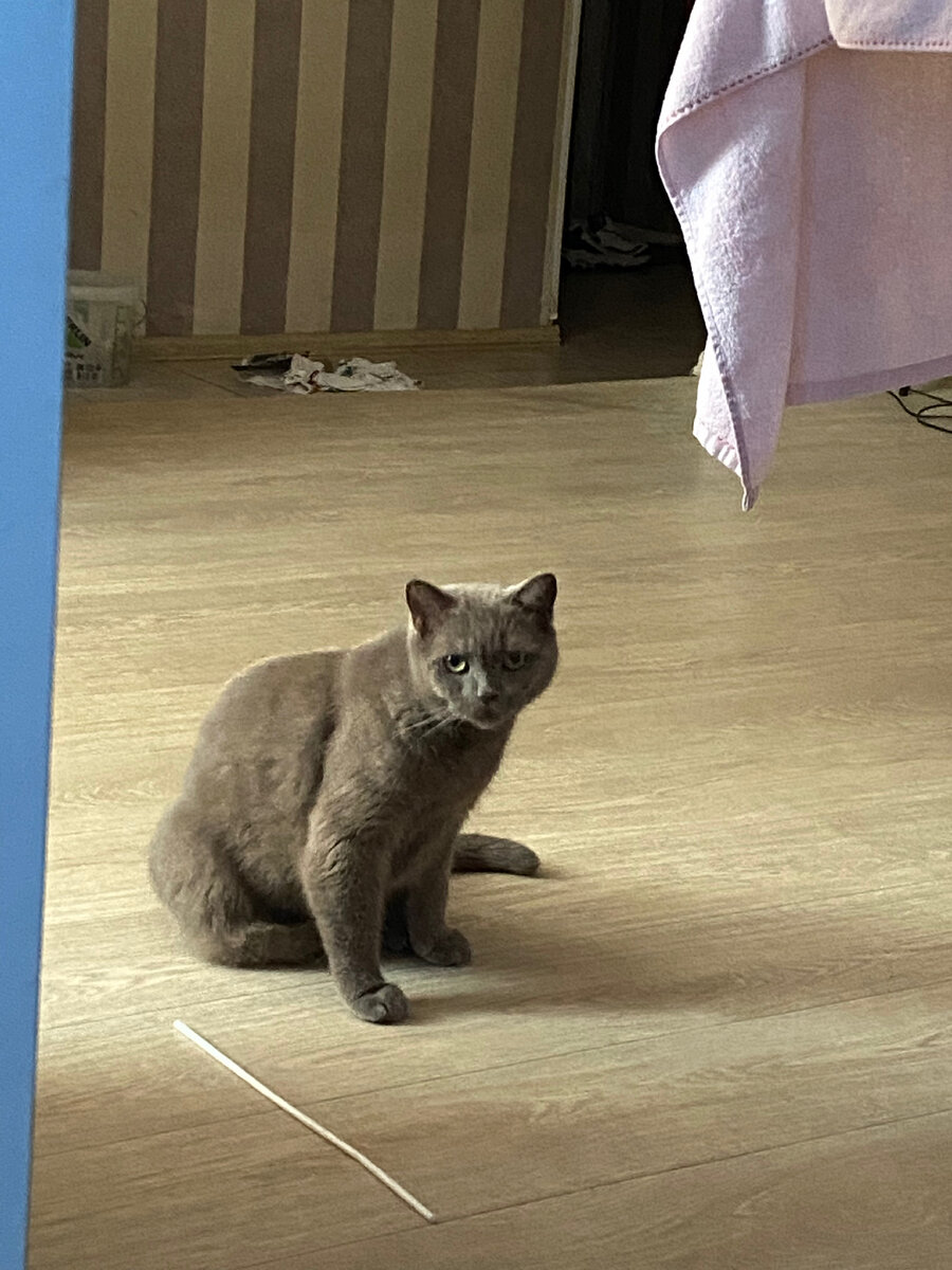 Это он просит играть. 