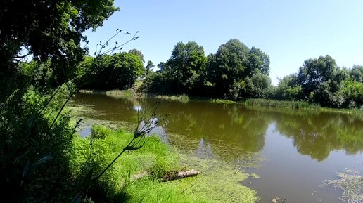 Село Ягодное. Данковский район. Нашли очередные камни с ледникового периода