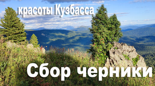 Сбор черники | Такого вида вы еще не видели | Ломаем плотину бобра | Едем по бурелому | Путешествие на квадроциклах