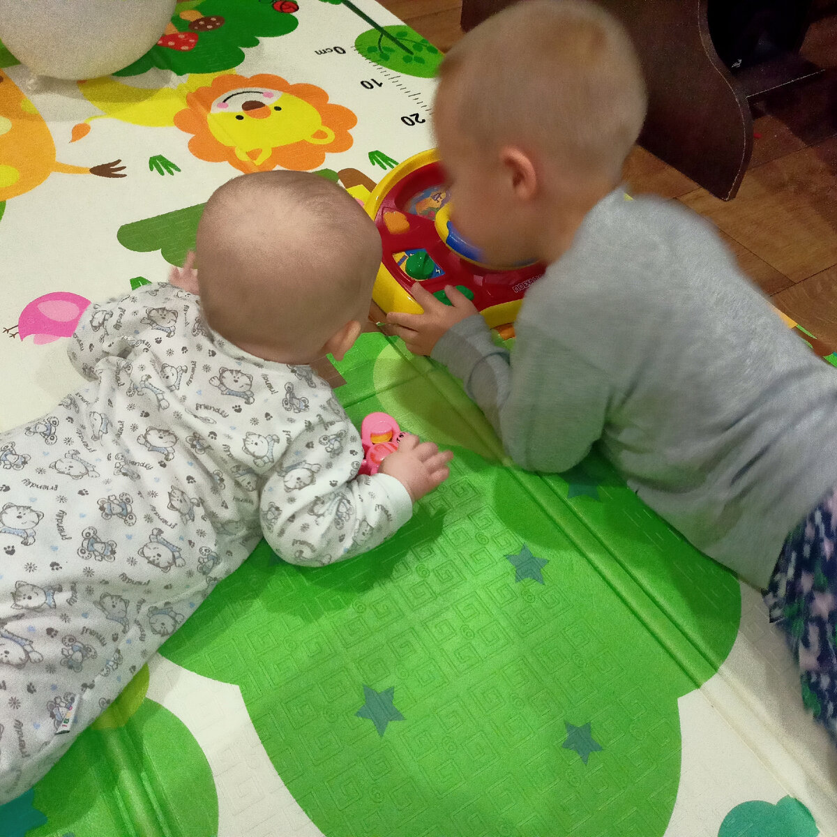 Изучают новую игрушку вместе)