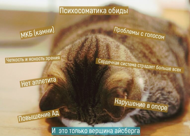 Вот так вот, а мы и не замечаем