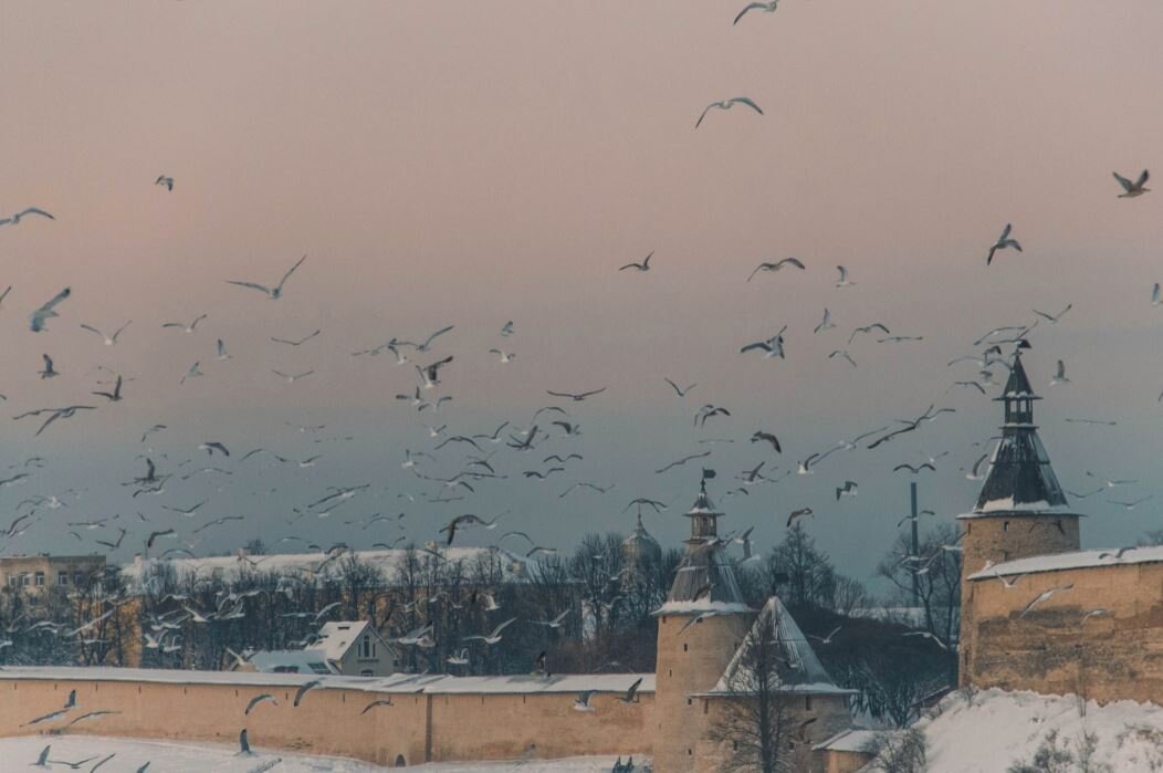   Автор – Анна Тягунова