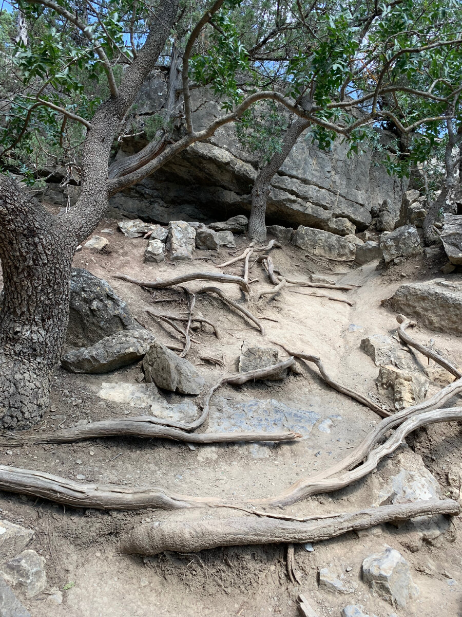 Тропа Галицина на царский пляж 