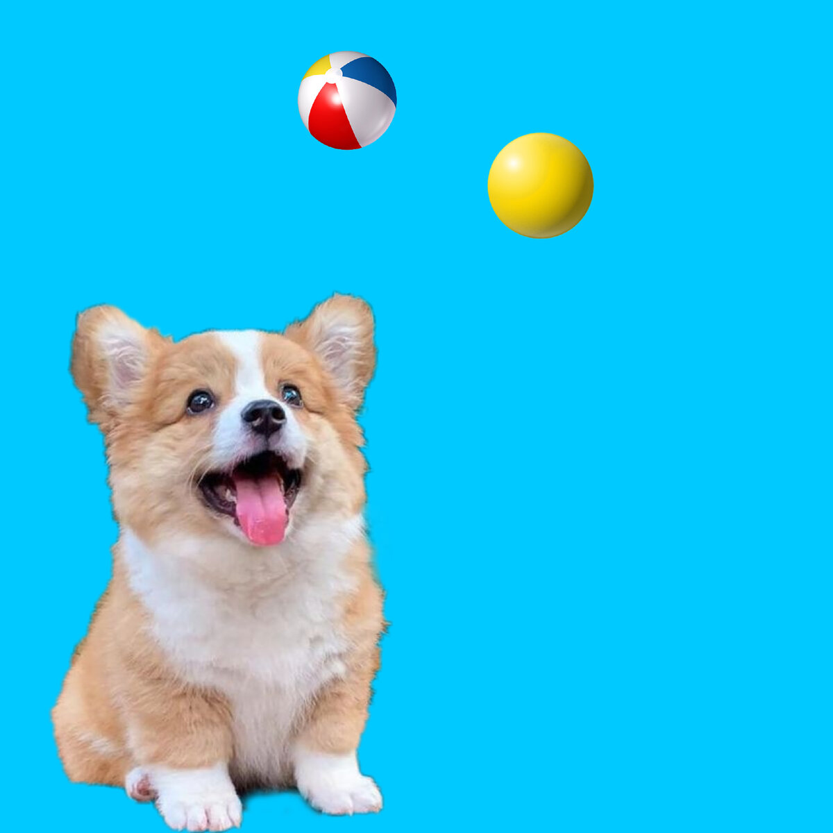 фотография создана Полиной Ф.