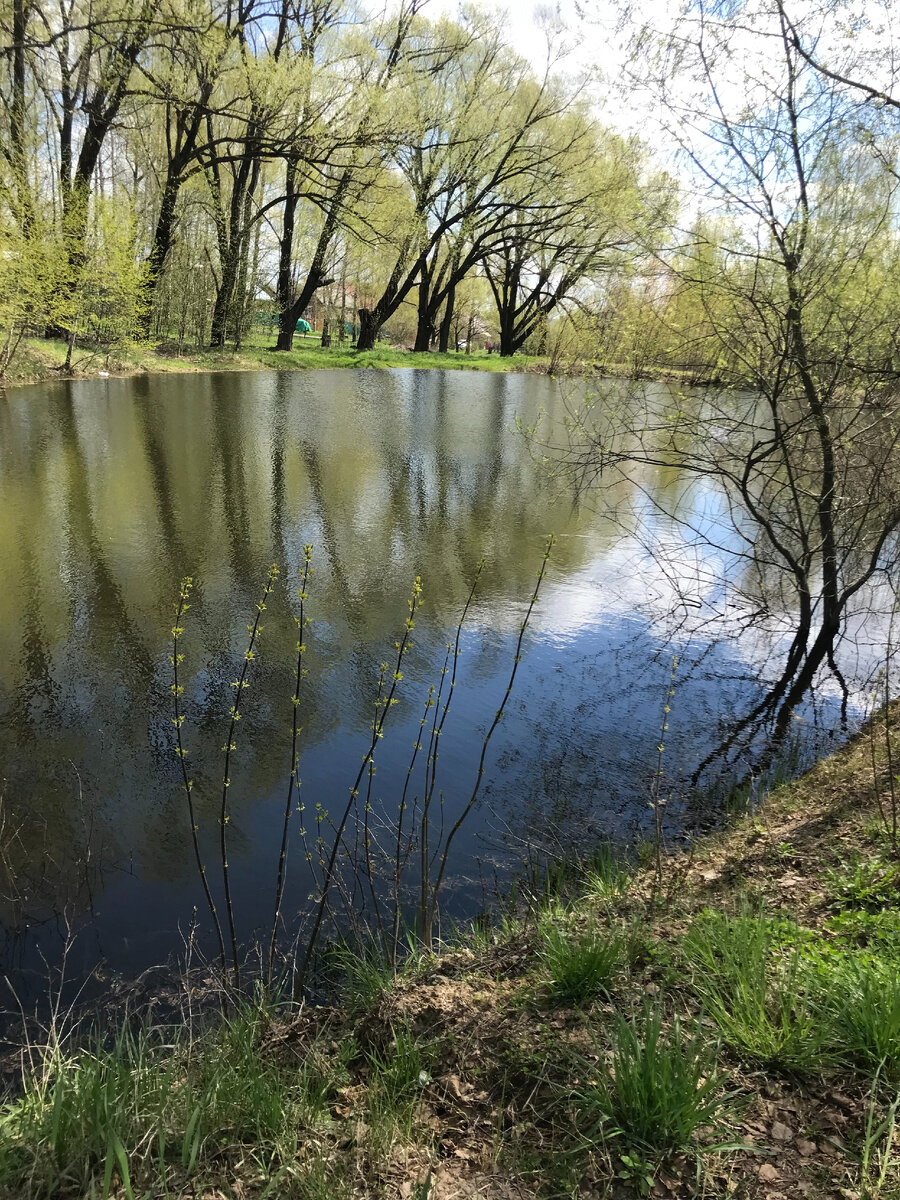 Красота.(собственное фото).