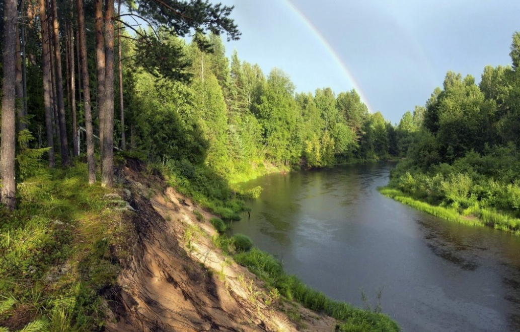 Фото из открытых источников