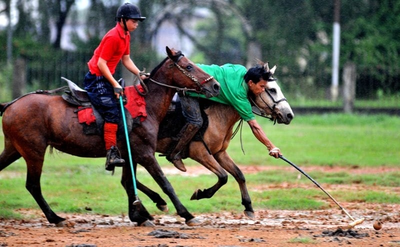 Ловят индийский снитч.