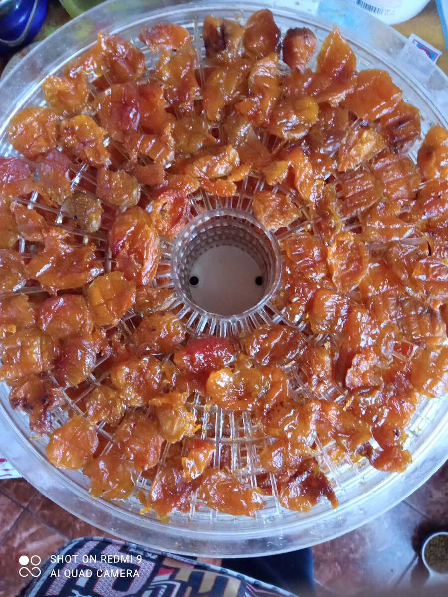 ИНГРЕДИЕНТЫ:                                                                  Абрикос ( без косточки) - 2 кг                                       Сахар- 700 грамм                                                                   Сахар для сиропа - 300 грамм                                       Вода 350 мл.                                                                        ПРИГОТОВЛЕНИЕ                                                             Половинки абрикоса засыпаем сахаром, оставляем на ночь, для выделения сока. Утром осторожно перемешиваем, откидываем абрикос на дуршлаг и сливаем сок. Образовавшийся сладкий сок кипятим и готовим на нём морсы, кисели, пропитку для пирожных и тортов. Отдельно варим сироп. Перемешиваем сахар с водой и доводим его до кипения. Выкладываем абрикос в кипящий сироп, доводим до кипения, но не кипятим. Выключаем огонь и даём абрикосу полностью остыть. Сливаем сироп, а абрикос раскладываем на поддоны. Ставим их в сушилку или дегидратор. Выставляем температуру 45 градусов и сушим 3 часа. Затем температуру поднимаем до 60 градусов и сушим 2 часа. Абрикос по истечении этого времени можно перевернуть на другую сторону. Выставить опять температуру 45 градусов и сушим ещё 3 часа. Готовый абрикос охлаждаем, раскладываем в посуду в которой он будет храниться. Убираем на хранение. 