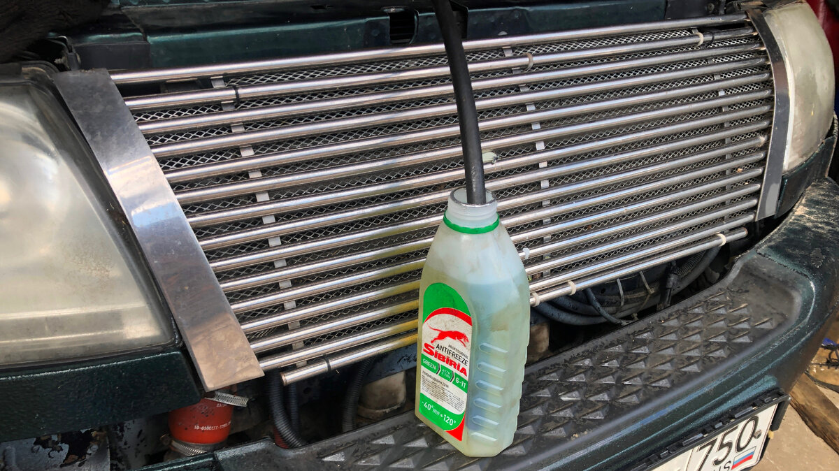 Проверяю работу "лягушки"