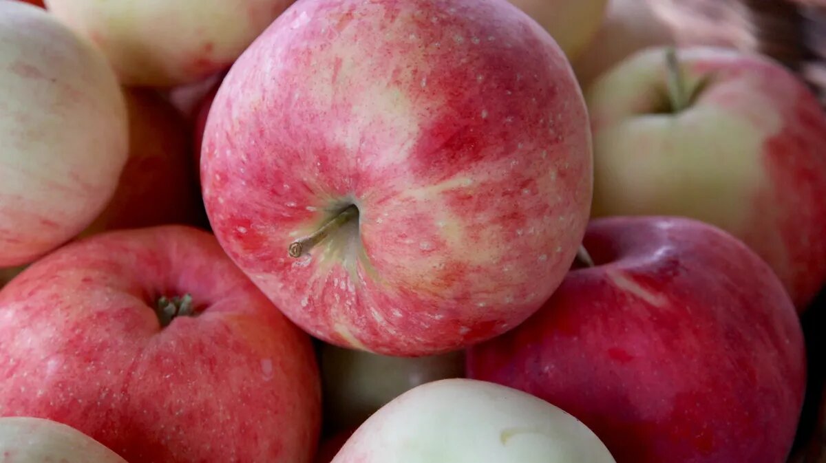 Эта светлая дата выпадает на период Успенского поста. Фото: Pxfuel.com