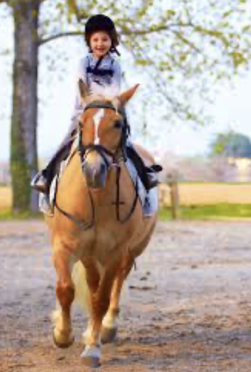 Вот как то так выглядело, картинка из интернета 