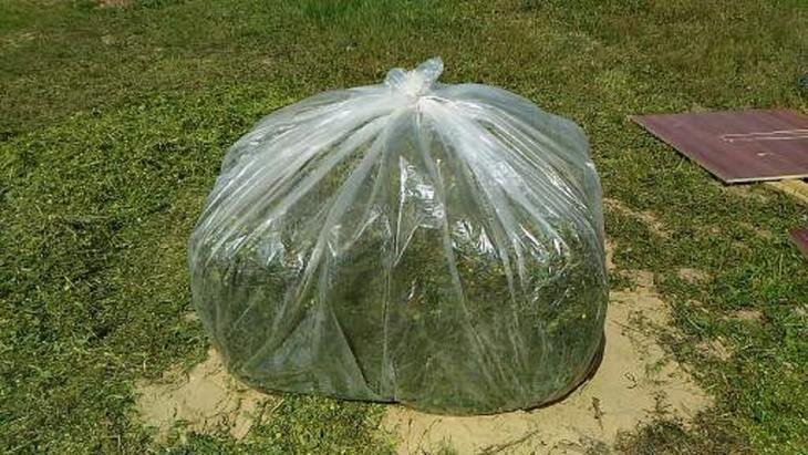    Зимний огород и птицеводство: вы можете выращивать деньги круглый год!