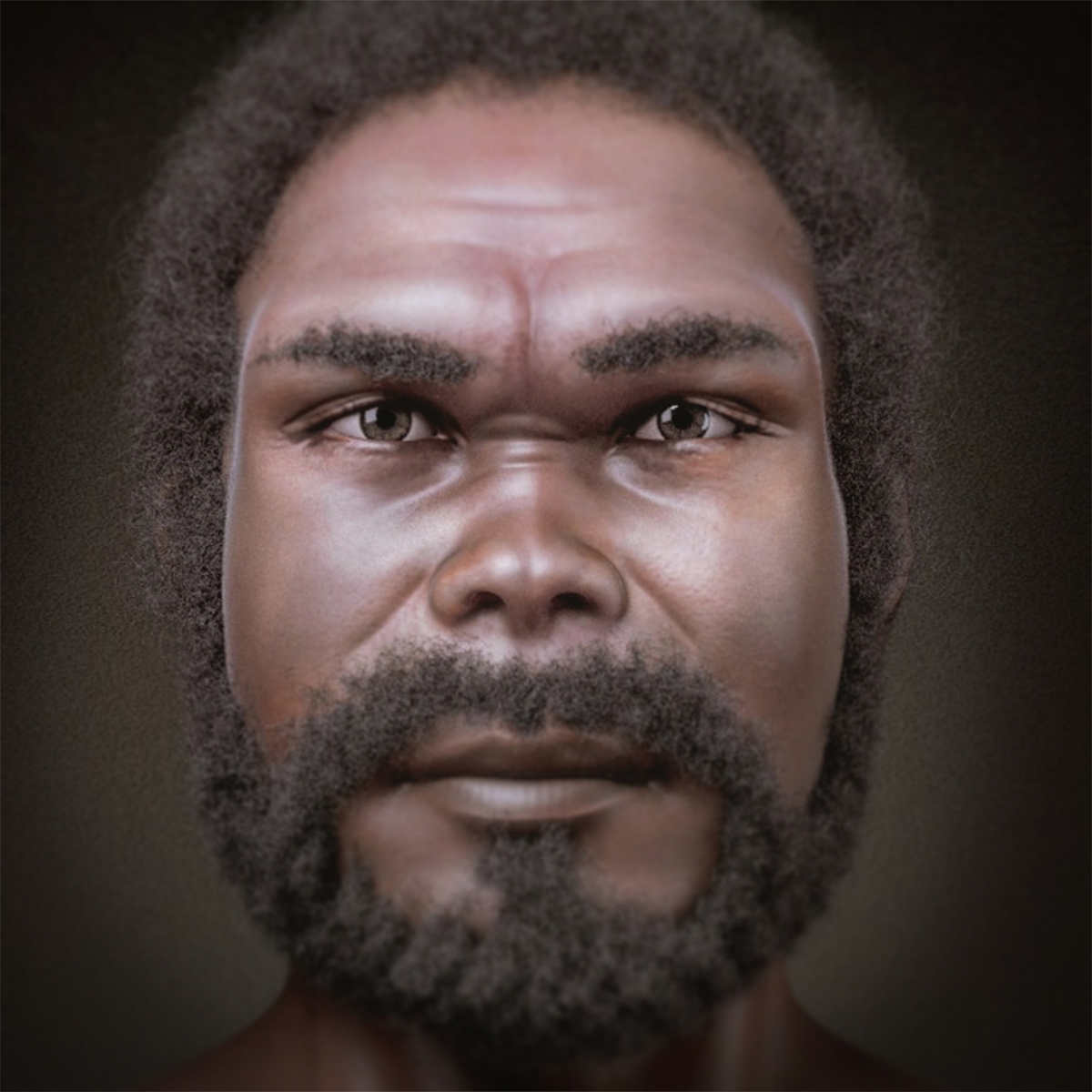 человек разумный фото. гейдельбергский человек (homo heidelbergensis). человек разумный хомо сапиенс сапиенс. гейдельбергский человек, родезийский человек. гомосапиенс человек разумный.