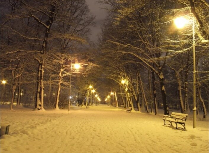 Фото из открытых источников 