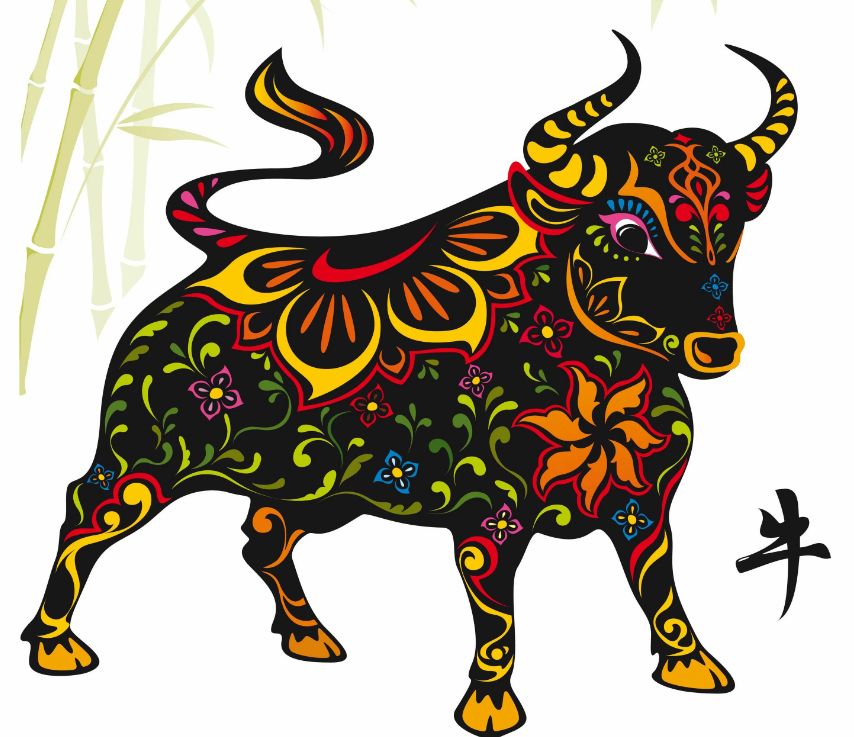 Яндекс картинки