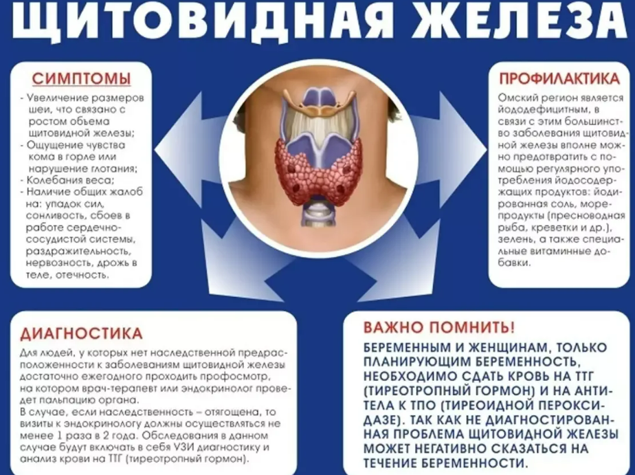 Щитовидная железа болезни при нарушении. Памятка для пациента с заболеваниями щитовидной железы. Памятка для пациентов с заболеваниями щитовидной желез. Тиреотоксикоз щитовидной железы профилактика. Буклет для пациентов с заболеванием щитовидной железы.