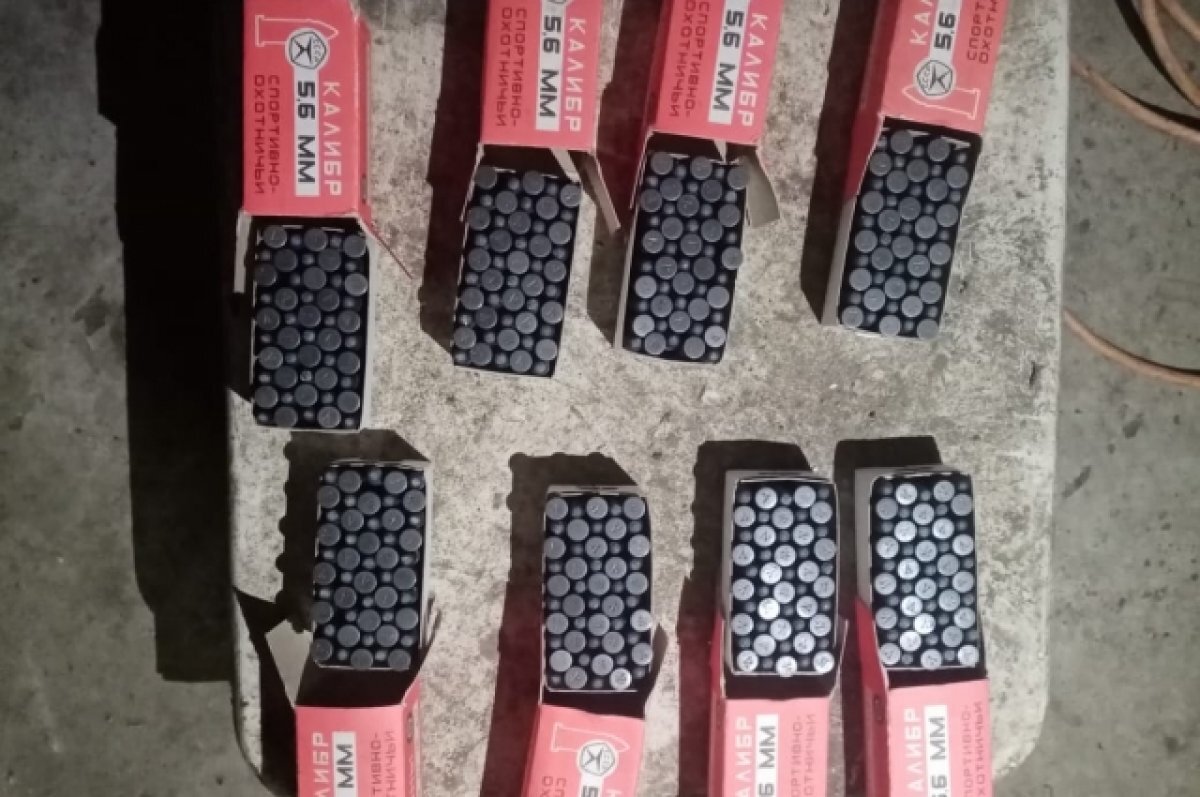    Житель Северного района нашел в лесу 400 патронов для спортивного ружья и оставил их себе.