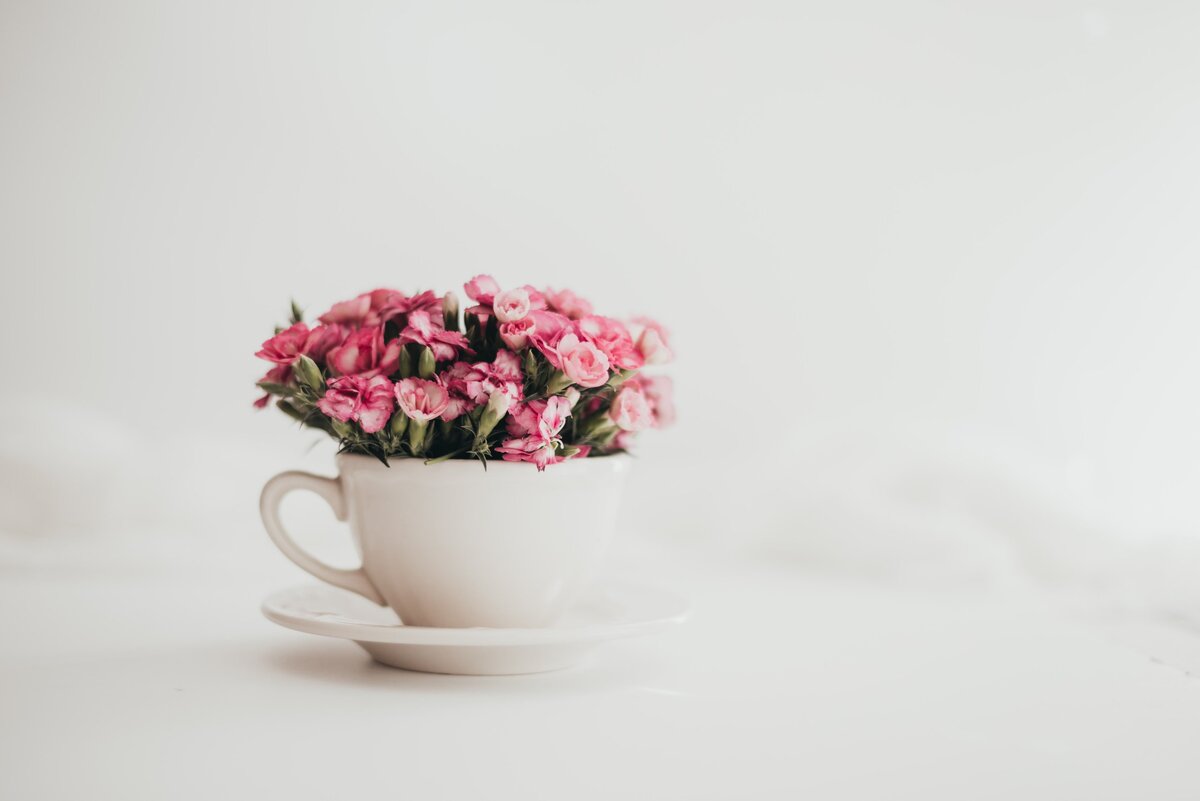    unsplash.com