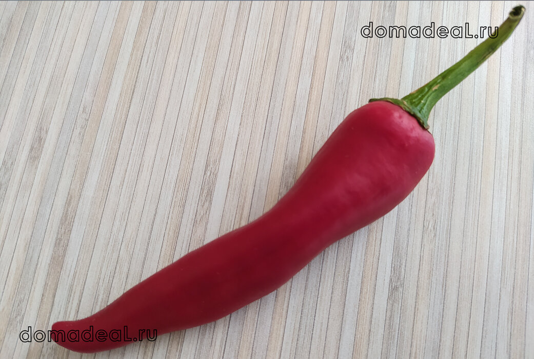 стручок перца чили