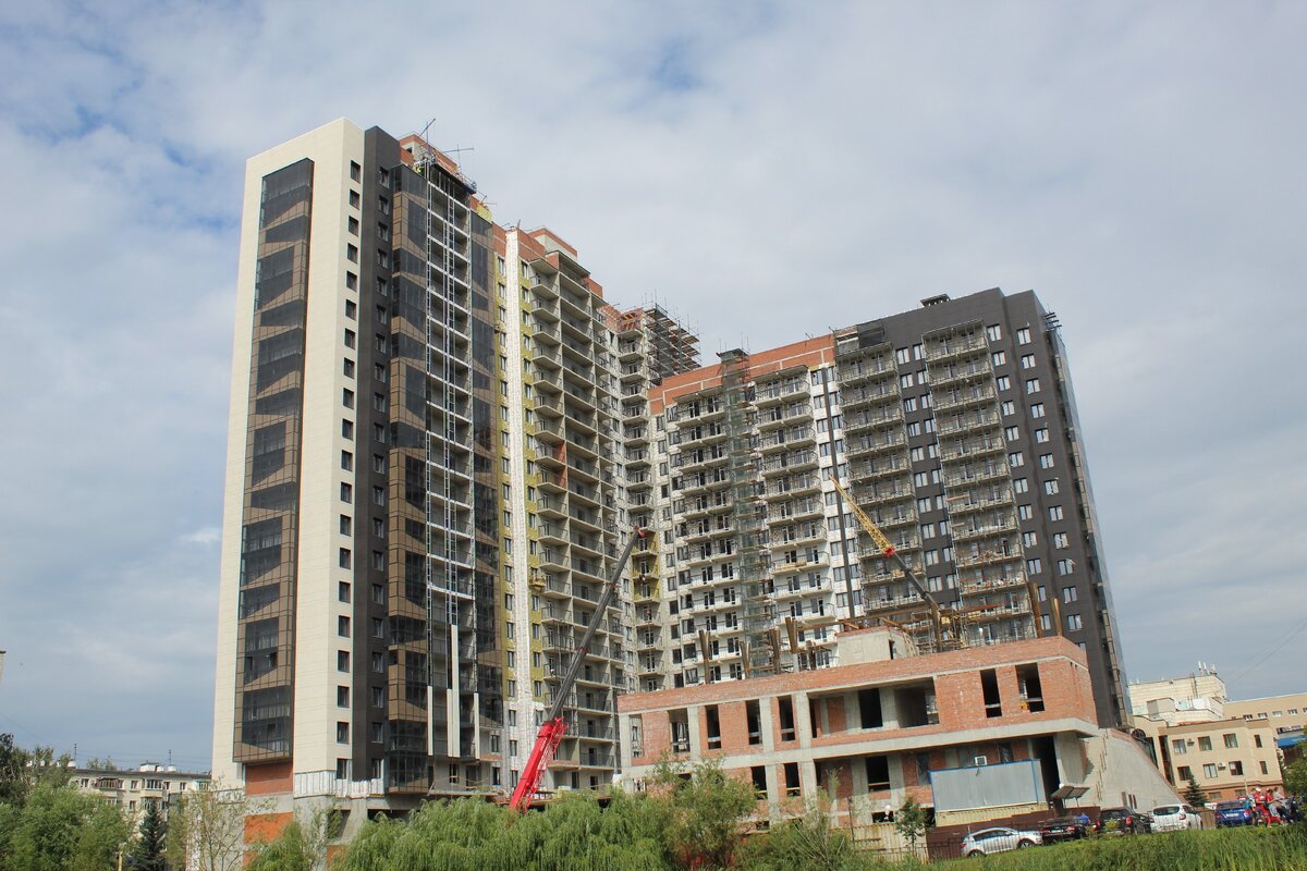 Новый человейник