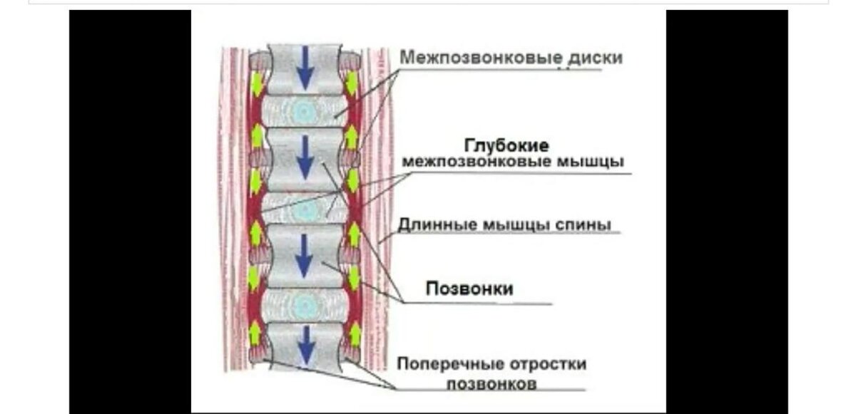 Взято с Яндекс картинки. 