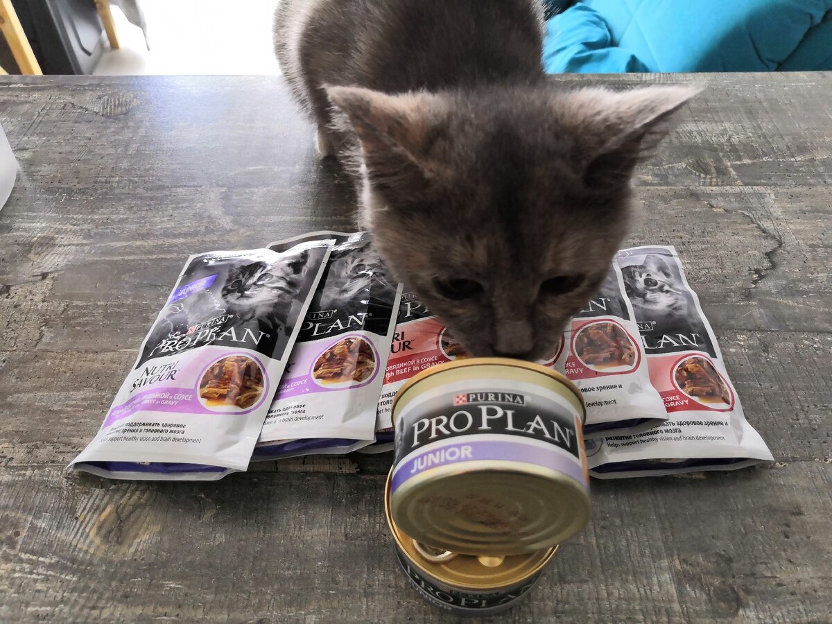 Контроль качества