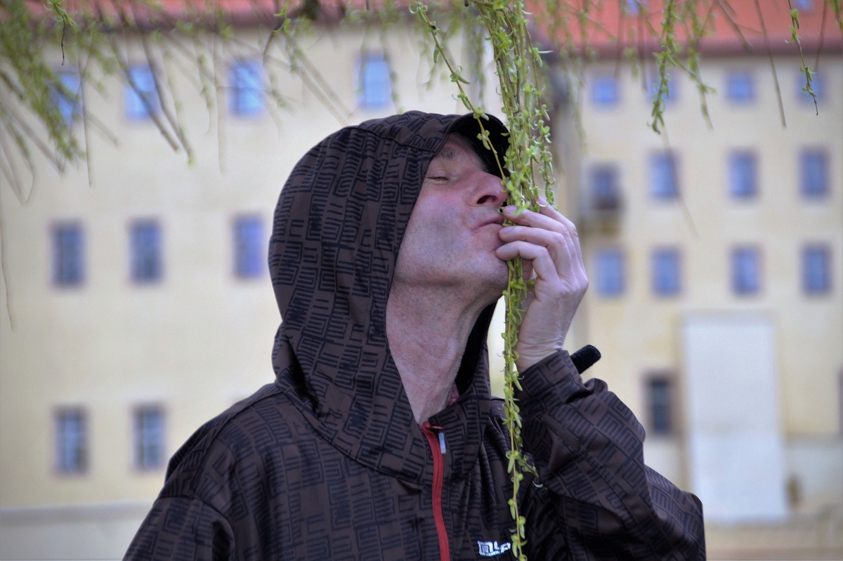 Изображение ivabalk с сайта Pixabay 